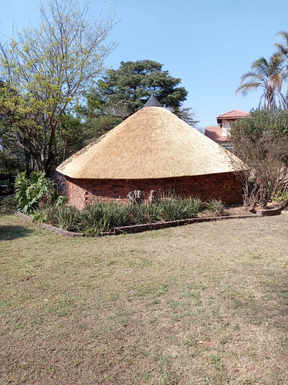 A round thatched rondavel in a garden